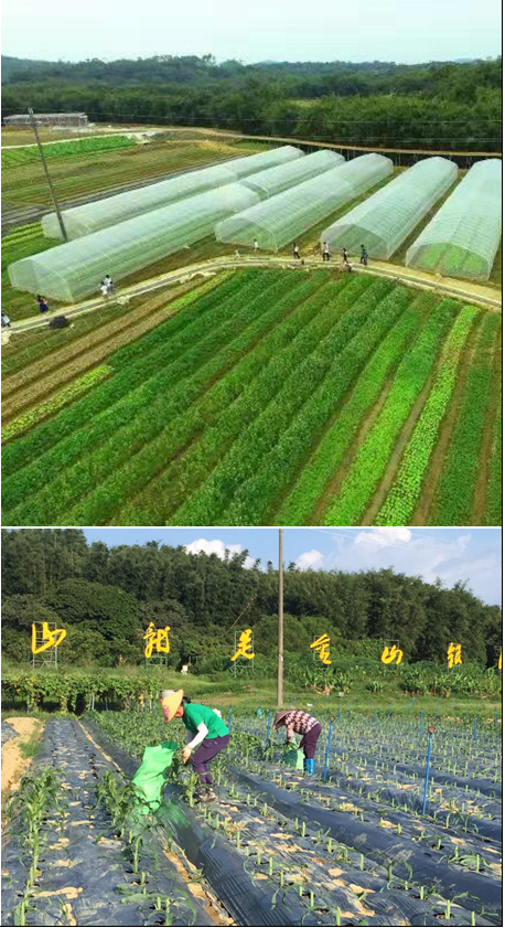 微信图片_20201130181636.png