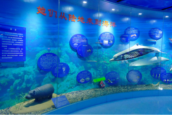 博彩平台网址大全水生野生动物保护基地市科普基地开放信息表（0326）1501.png