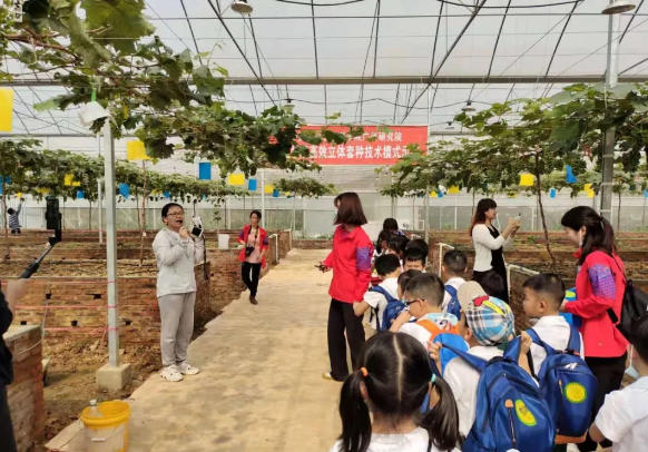 微信图片_20210520150950.png