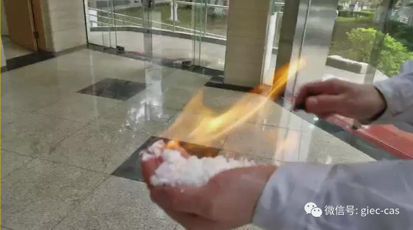 微信图片_20210521173057.jpg