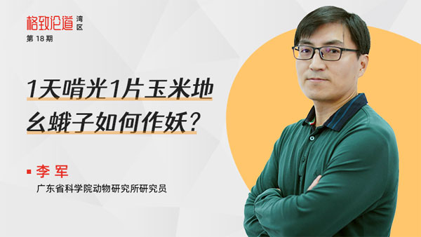 图片3.李军-&times;-入侵昆虫.jpg