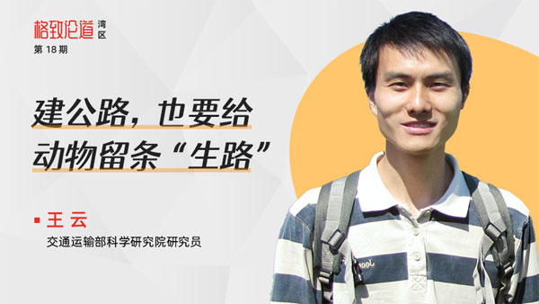 图片4.王云-&times;-野生动物保护.jpg