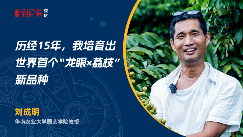 图片3 刘成明 &times; 脆蜜龙眼.png