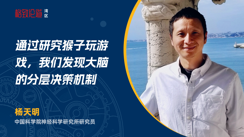 图片4 杨天明 &times; 大脑决策.png