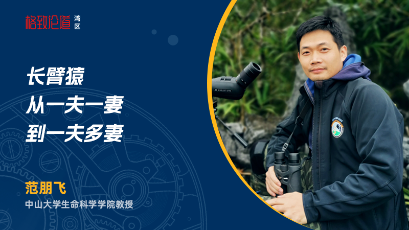 图片5 范朋飞 &times; 长臂猿保护.png
