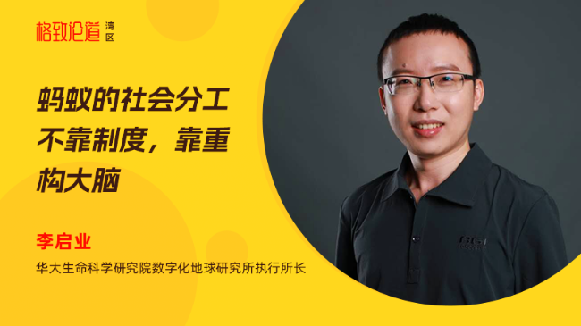 图片4 李启业&times;动物演化.png