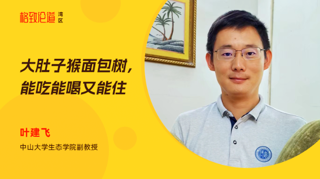 图片6 叶建飞&times;猴面包树.png