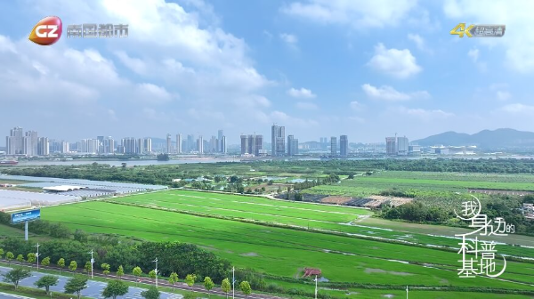 图5.jpg