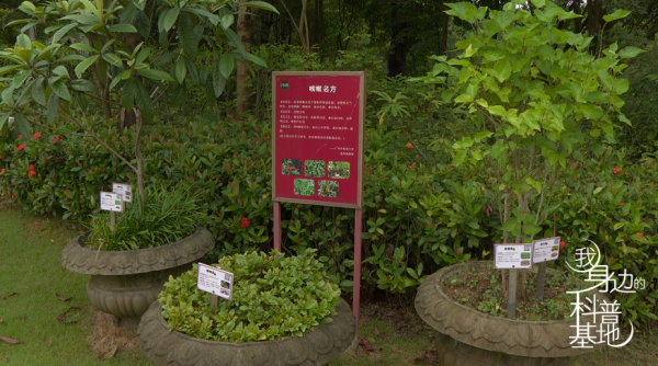图片10.png