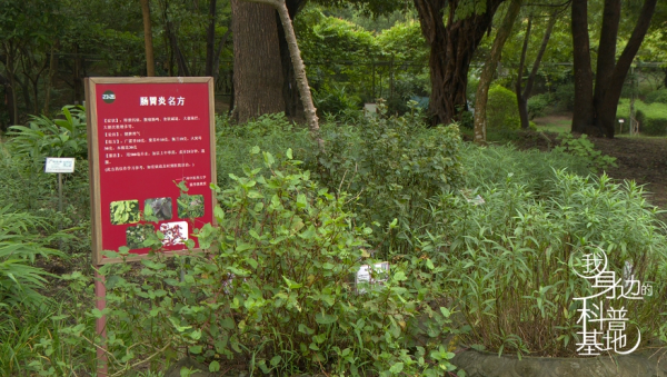 图片11.png