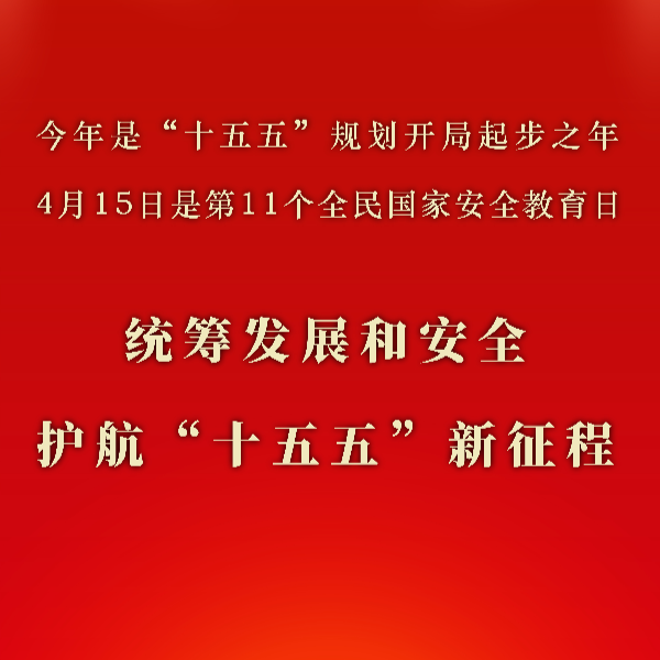 统筹发展和安全 护航